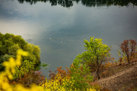 Autumn landscape with a lake, trees and a flock of ducksの写真素材