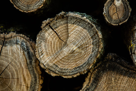 Wooden logs stacked in a pile, close-up, background