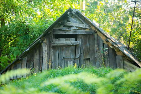 Old wooden house in the forest. Old house in the forest.の写真素材