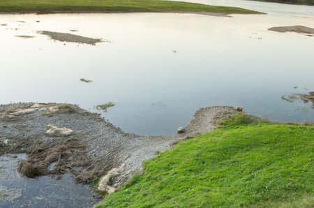 Landscape with green grass and reflection in water.