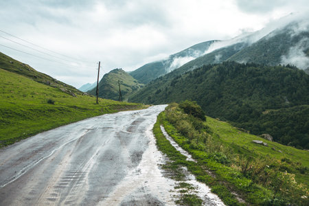 Dirt road in the mountains. Carpathians, Ukraine.の写真素材