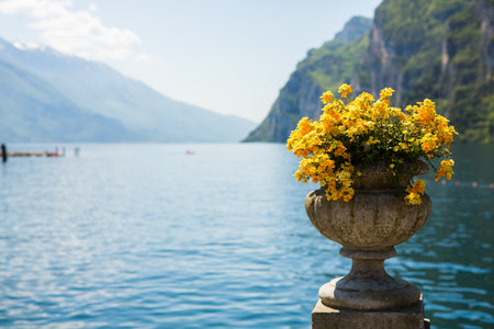 Bouquet of yellow flowers in a vase on the background of a lakeの写真素材