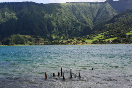 Lake of Azores, Ponta Delgada, Portugal.の写真素材