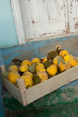 Fresh ripe persimmon fruits in a wooden box on the tableの写真素材