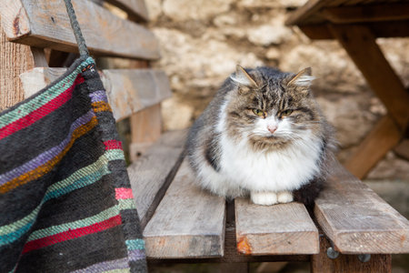 the elements of a traditional country house.の写真素材