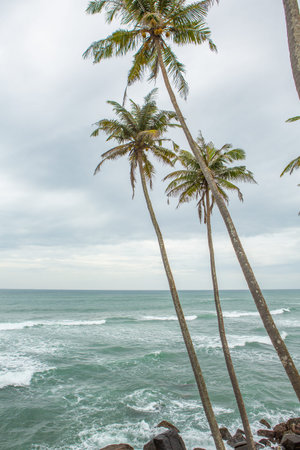 A beach like heaven or paradise on the island of Sri Lanka. Exotic coast of the Indian Ocean