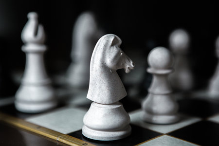 Chess pieces on a chessboard. Black and white photo.の写真素材