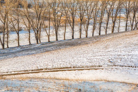 Landscape with beautiful nature during the cold winter season.の写真素材