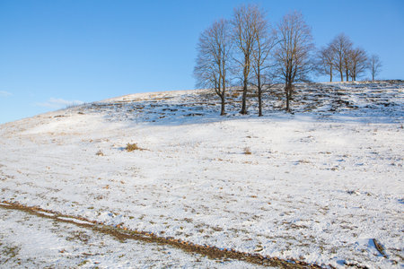 Winter landscape with bare trees on the hill under the blue sky.の写真素材