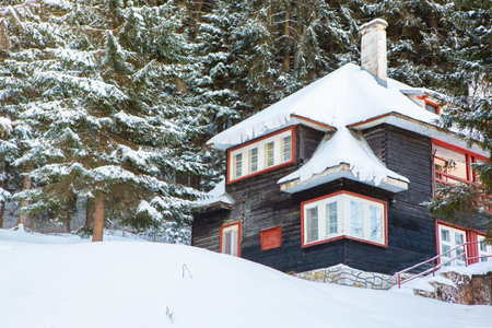 Wooden house in the winter forest. Snow-covered house.