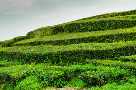 Hidden Paradise in the Middle of the Atlantic The Azores, Portugal