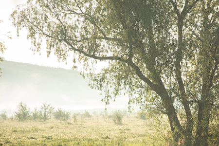 Beautiful landscape with the Raut River in the Republic of Moldova. Rural nature in Eastern Europe.の写真素材