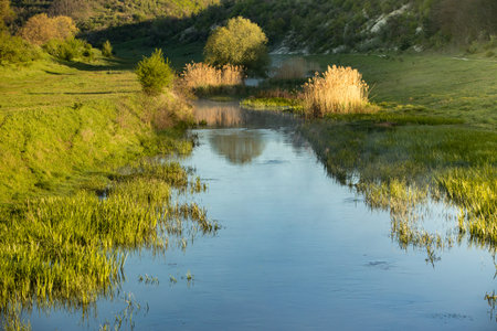 River with reeds in the early spring. Landscape with river.