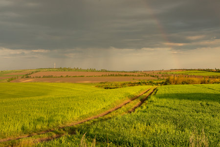 Beautiful nature landscape from the Republic of Moldova in summer. Rural village life in Eastern Europeの写真素材