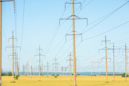 high voltage post and power line in rice field with blue sky backgroundの写真素材