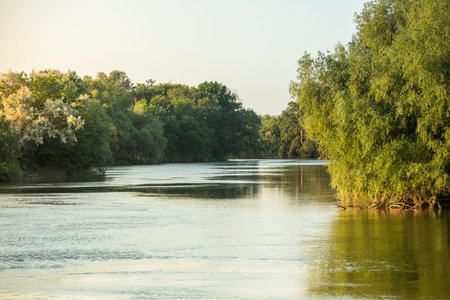 Sunset on the river in the summer. Landscape with river and trees. Landscape with beautiful and green nature in the Republic of Moldova.の写真素材
