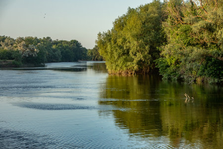 River landscape with green trees and blue sky in sunny summer day. Landscape with beautiful and green nature in the Republic of Moldova.の写真素材