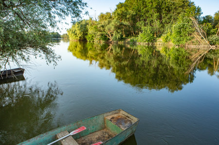 River landscape with boat and trees in the water, natural background. Landscape with beautiful and green nature in the Republic of Moldova.の写真素材