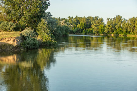 River landscape with green trees and blue sky. River in summer.