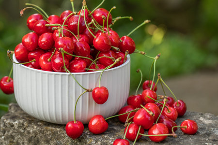 Ripe red cherries in a bowl on a stone in the garden