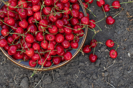 Fresh red cherries in a bowl on the ground. Top view.の写真素材