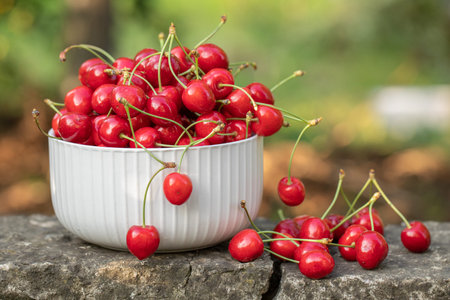 Ripe red cherries in a white bowl on a natural background