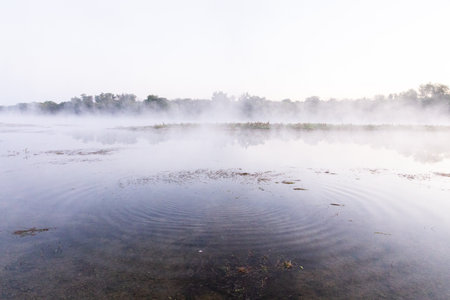 Beautiful summer landscape with green nature in the Republic of Moldova, Rural tourism in Eastern Europe. Natural park in Moldova.の写真素材