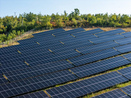 solar energy panels in aerial view with blue sky and green forest