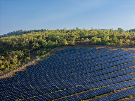 solar energy panels in aerial view with blue sky and green forest