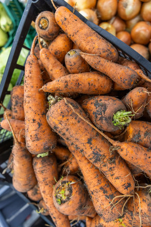 Bunch of fresh carrots at the farmers market. Selective focus.の写真素材