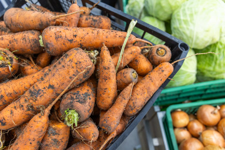 Bunch of freshly harvested carrots at the local farmers market. Selective focus.の写真素材