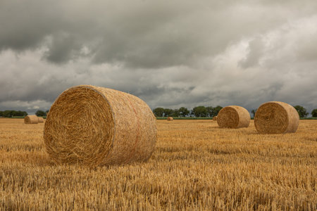 Straw bales in a field after harvest with stormy sky