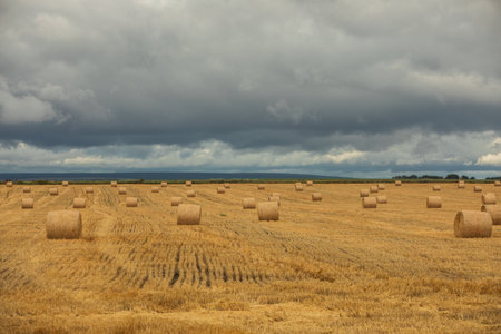 Field with straw bales in the countryside under a cloudy sky.の写真素材