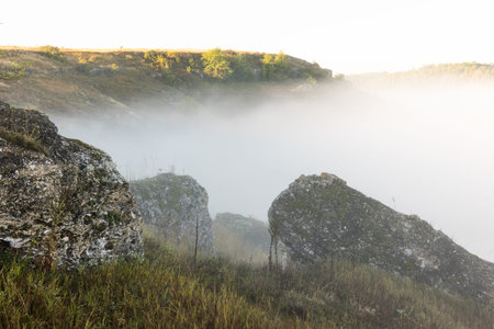 Morning mist in the mountains. Beauty world.