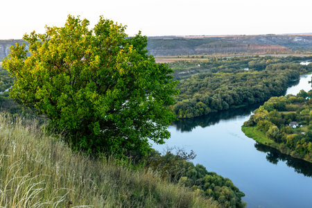 View of the river from the top of the hill in the evening