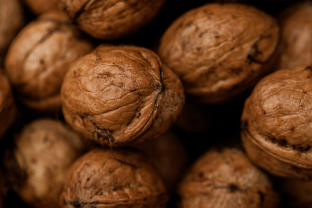 Closeup of walnuts in a shell as a background. Macro