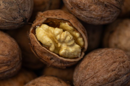 Walnut kernels and whole walnuts close-up macro photography.の写真素材