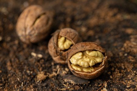 Walnuts on the ground, close-up, shallow depth of field