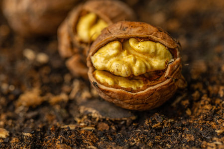 Walnuts on the ground, close-up, macro, selective focus