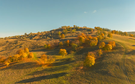 Aerial view of autumn landscape with colorful trees on hillside.