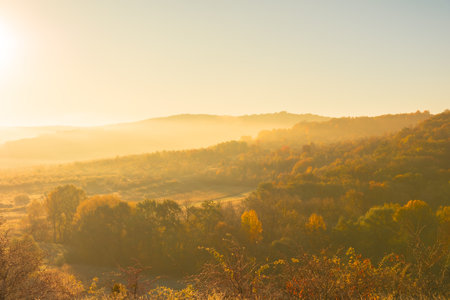 Autumn landscape with fog on the meadow in the morning.の写真素材