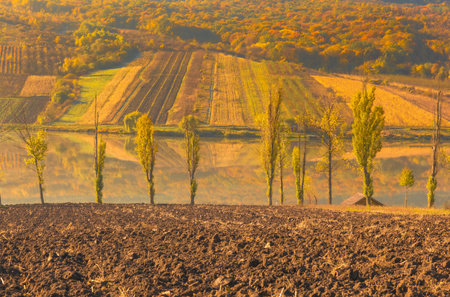 Autumn landscape with fields and trees in Tuscany, Italyの写真素材
