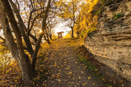 Autumn landscape with yellow leaves on the hillside in the eveningの写真素材