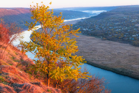 Autumn landscape with river and trees in the morning. Ukraine, Europeの写真素材