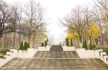 Dreamlike view in fog during sunrise peaceful autumn morning.の写真素材