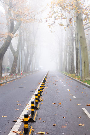Autumnal foggy road with yellow fence in the park.の写真素材