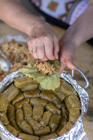 Grandma prepares traditional dolma in the country, abroad, in the Republic of Moldova or Romania. Dolma is a family of stuffed dishes associated with Ottoman cuisineの写真素材
