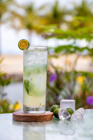 summer breeze cocktail with basilの写真素材