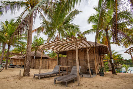 beachside vacation, coconut and seaの写真素材