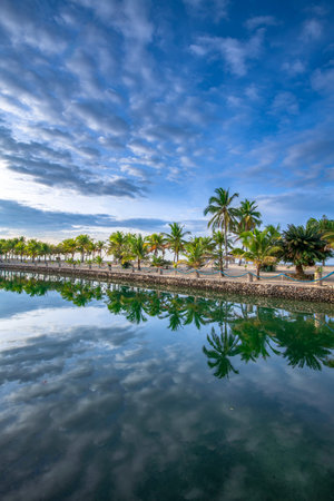 Palm trees reflected in the water of a pool with a cloudy sky